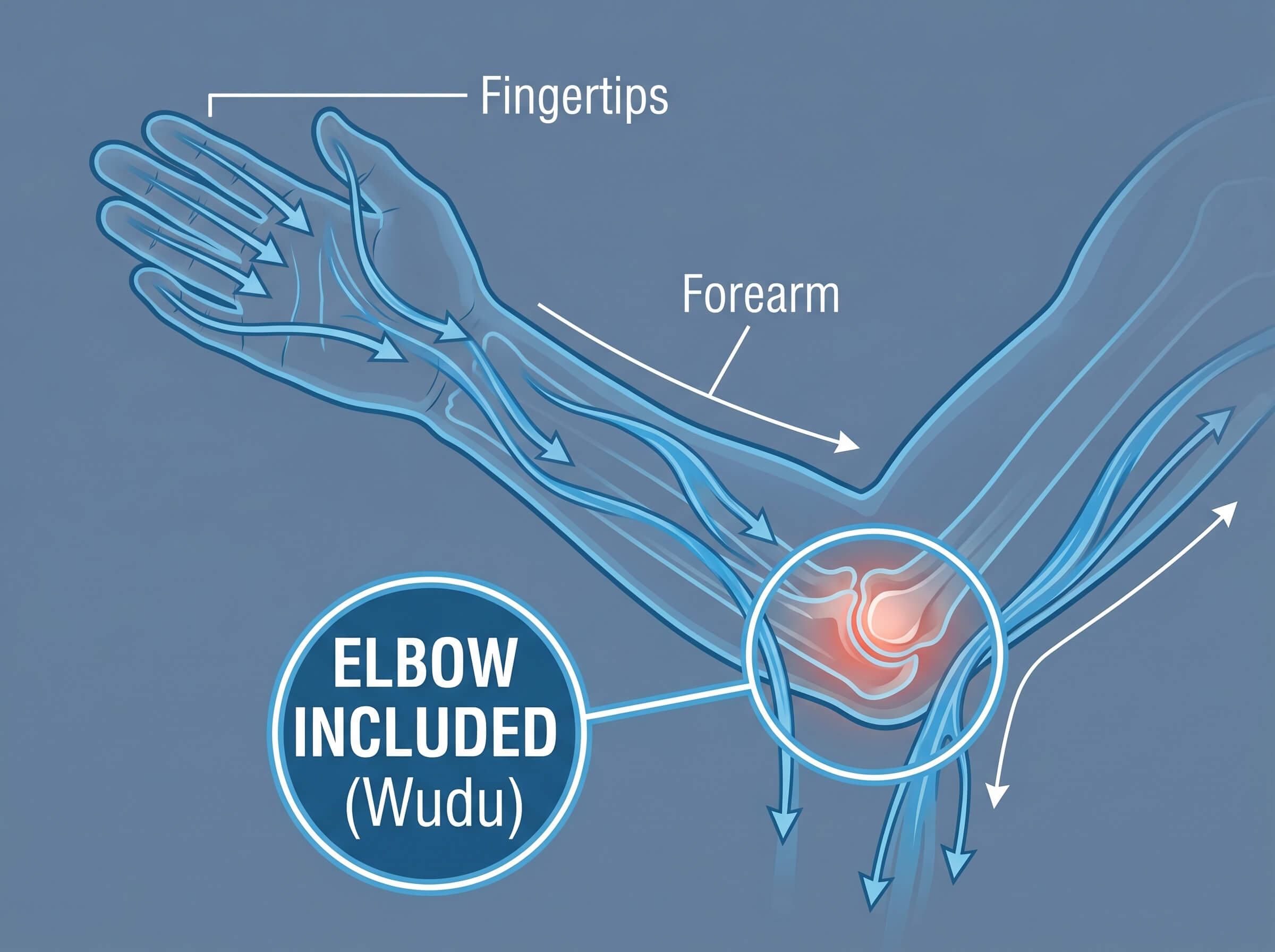 Wudu arm washing diagram showing water flow from fingertips to elbows with elbow included