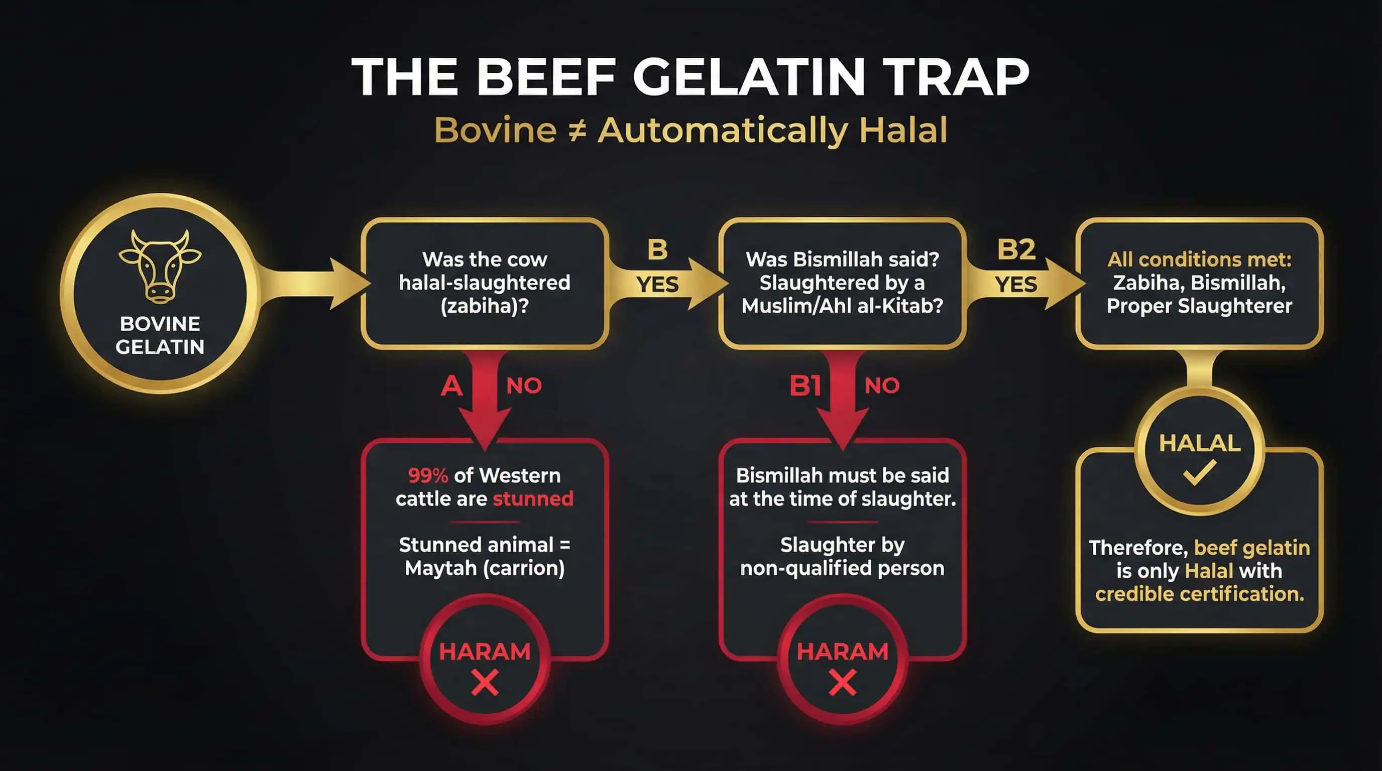 Beef Gelatin — The Zabiha Problem