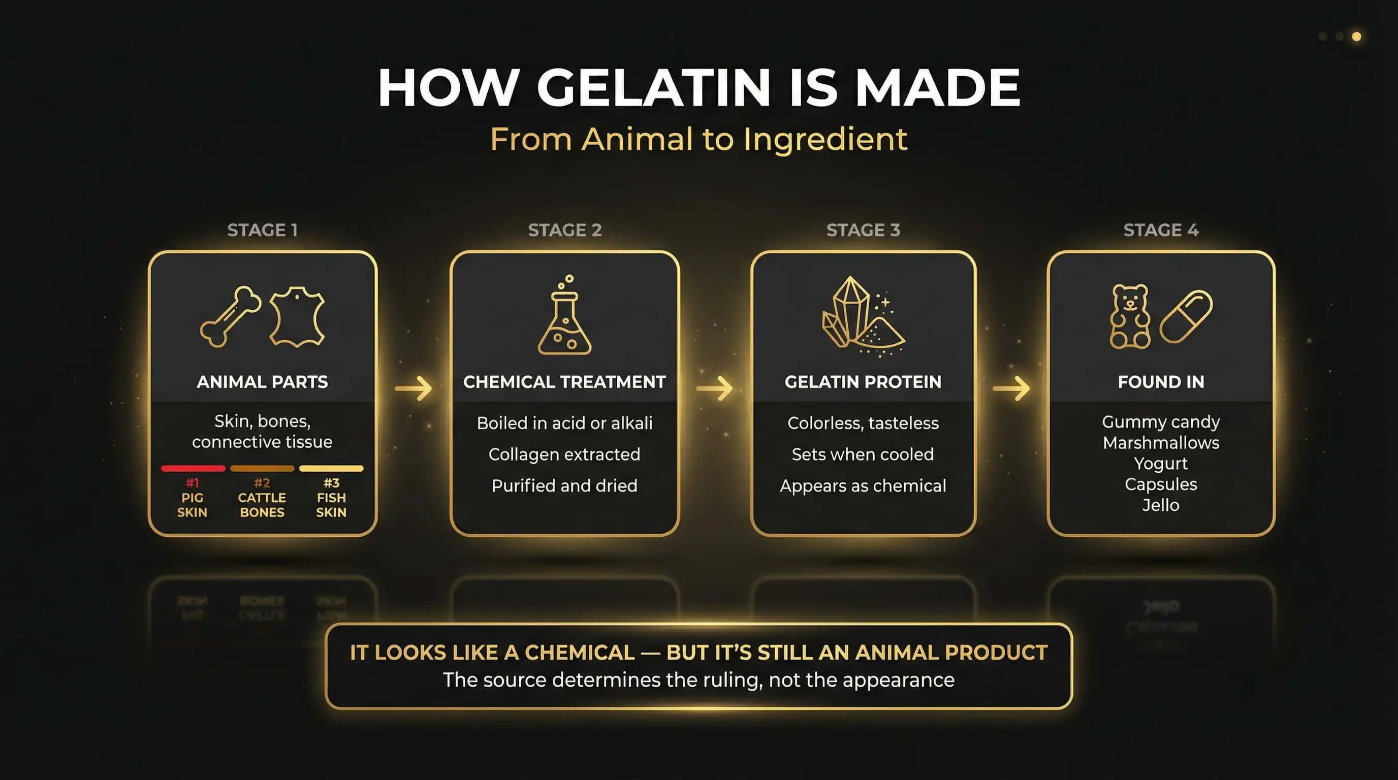 What Is Gelatin Made Of